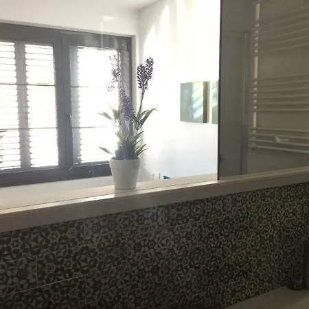 Centrico En Apartament Olot